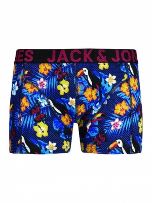JACSUMMER TRUNKS STS 175876 Navy Bla