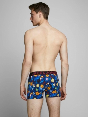 JACSUMMER TRUNKS STS 175876 Navy Bla